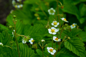 Summer is coming soon