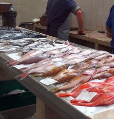 Fische, Markthalle Funchal, Madeira