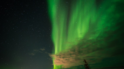 Northern light in Canada