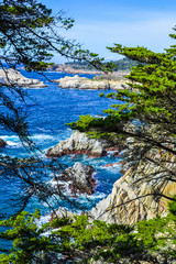 shore of the ocean. Sea coast, rocks, sea