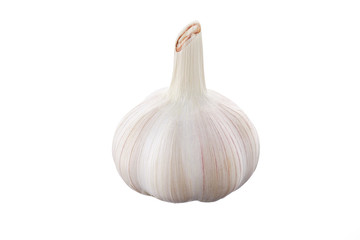 Fresh garlic head on white background isolated