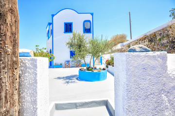 Traditional white Greek house with olive tree