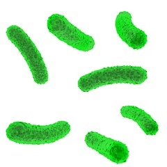 Green bacteria inside the body on a white isolated background