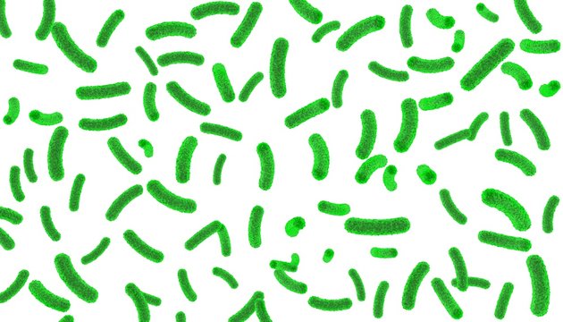 Green bacteria inside the body on a white isolated background