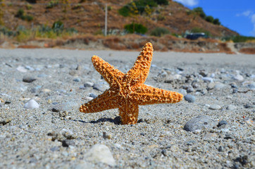 Bova Marina - Reggio Calabria