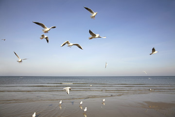Baltic Sea in Ustka. Poland