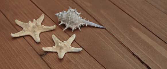Fototapeta na wymiar Starfish and Seashells, Maritime nautical decoration over brown wooden Background with copy space. Banner with Copy Space.