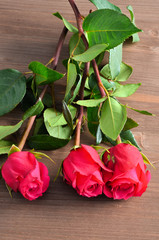 Three red roses against a brown background