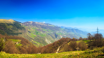 Naklejka premium Spring is coming in the valley