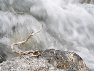 Kunst in der Natur