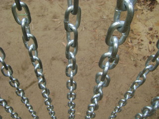 Obraz premium Strong