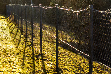 fence in the backlight