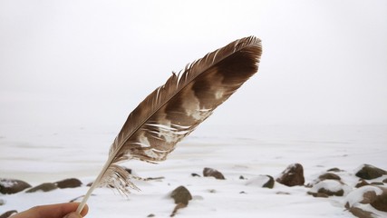 Owl feather in hand, winter snow, white background