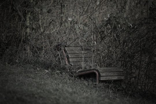 Bank Parkbank zugewachsen