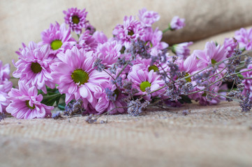 pink chrysanthemums with dry yellow ears of wheat on a background with burlap