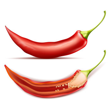 Vector realistic illustration of hot chili pepper, whole and half, isolated on background. Red pod of cayenne, traditional spicy seasoning for mexican cuisine, natural ripe vegetable for cooking