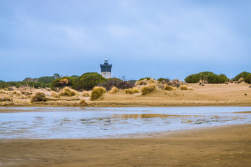 Le Phare et la plage de L'espiguette