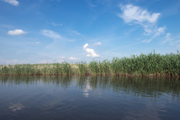 Minimalist landscape on the river surrounded by reeds. Blue sky with clouds reflected in the water.