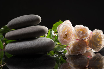  Delicate pastel roses and stones on a black background. Spa.