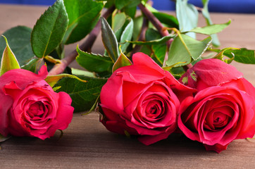 Three red roses against a brown background