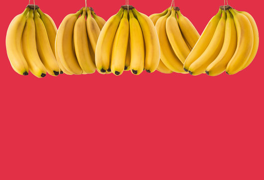 A lot of ripe banana bunch  with space for text on a white background. The concept of healthy food