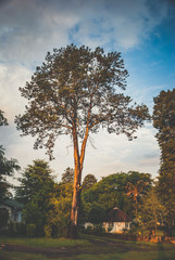 Obraz premium Scenes from the Drakensberg