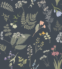 Herbs and wildflowers. Vector print. Seamless pattern.