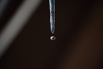 The drop fell from the icicle. Flight of a drop