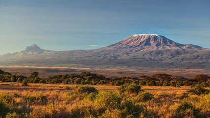 Foto op Plexiglas Kilimanjaro dorre droge Afrikaanse savanne in de late avond met de Kilimanjaro, de hoogste piek in Afrika. Amboseli National Park, Kenia