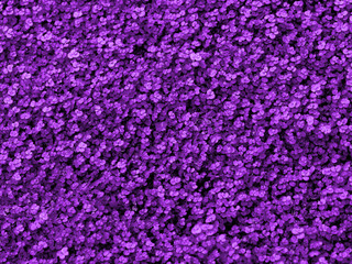 Ultra Violet background made of fresh green leaves. Ultra Violet backdrop for your design. Trendy color concept of the year.