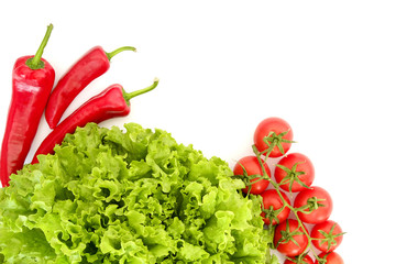 Clean healthy eating habits concept. Vegetable herb mix of colorful juicy organic detox smoothie ingredients, white background. Pepper, tomato, lettuce. Vegan vegetarian diet food. Flat lay copy space