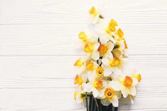 beautiful fresh daffodils on white wooden background top view. hello spring image with bright yellow flowers border on rustic wood with space for text, flat lay. floral greeting card