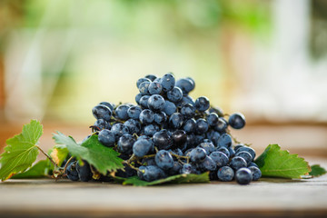delicious ripe dark blue grapes with green leaves on a wooden table