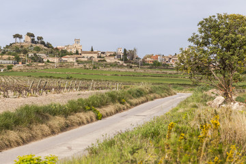 Fototapeta na wymiar Village and landscape view, spring day, Banyeres del Penedes, Penedes region, Catalonia.