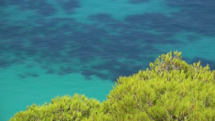 Green light pine and turquoise water, gorgeous landscape, Greece 4K