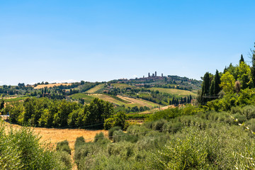 Fototapeta na wymiar The Landscape in Tuscany is just beautiful with all those Vineyards where good Vines were born and the small Villages.