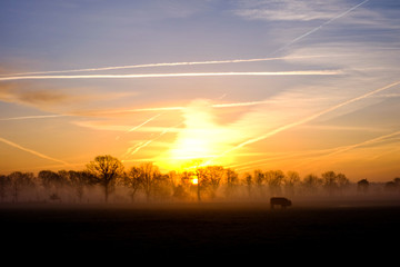 Natural sunset or sunrise over a field or meadow with a bright and dramatic sky and dark ground at the countryside