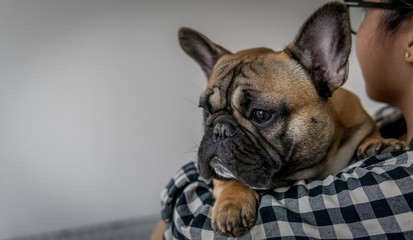 Person holding french bulldog with one paw showing