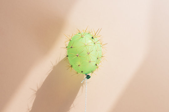 Balloon in disguise of cactus against wall