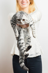 cheerful girl with striped gray cat on hands, Scottish Folded Cat, British Gray Cat