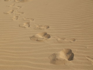 steps in dunes sands
