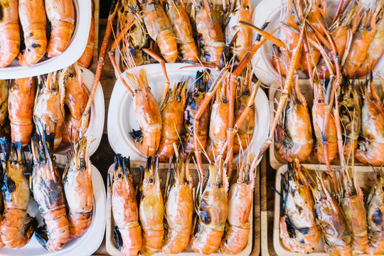 Giant shrimps lying in rows