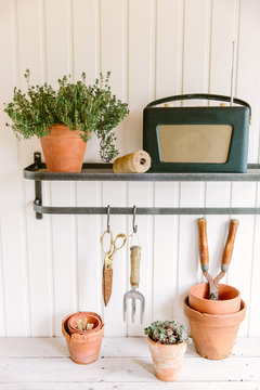 Shelf in a potting shed with gardening equipment.