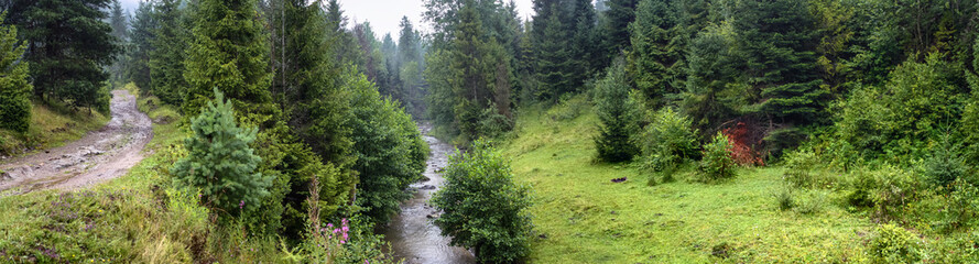 Beautiful landscape, panorama, banner, with a view of forest and river in the Carpathian Mountains, Western Ukraine