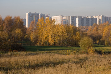 Obraz premium Autumn in the Moscow park