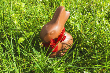 Coniglietto di Pasqua uova di Pasqua di cioccolata sull'erba verde