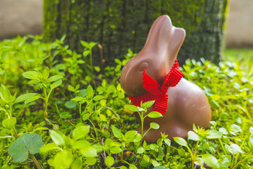 Coniglietto di Pasqua uova di Pasqua di cioccolata sull'erba verde