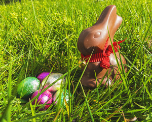 Coniglietto di Pasqua uova di Pasqua di cioccolata sull'erba verde