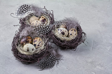 Naklejka na ściany i meble Rustic still life - quail eggs in nest on rough concrete surface, close-up with place for text, Easter style