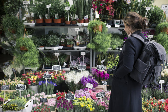 Woman looking at beautiful flowers at the market